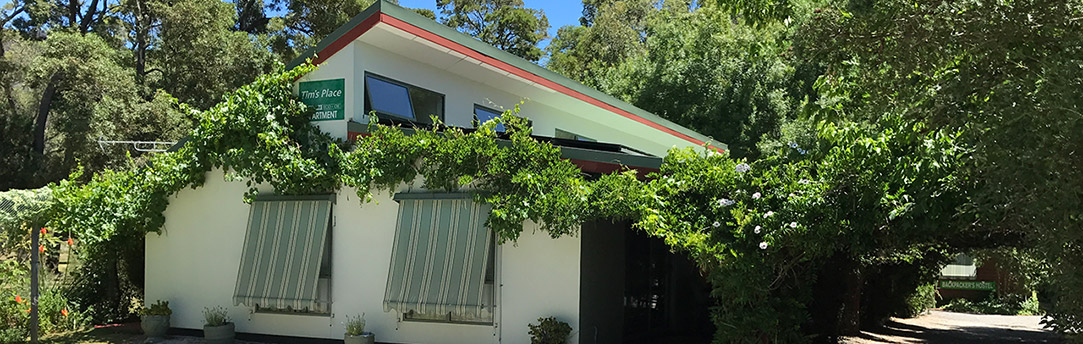 Tims Place in the Bush