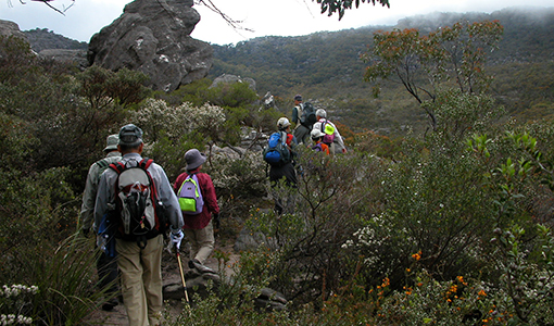 Nature Walk Grampians