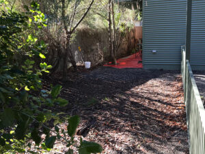 Dog yard