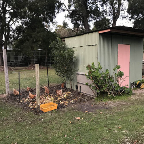Community Garden shed